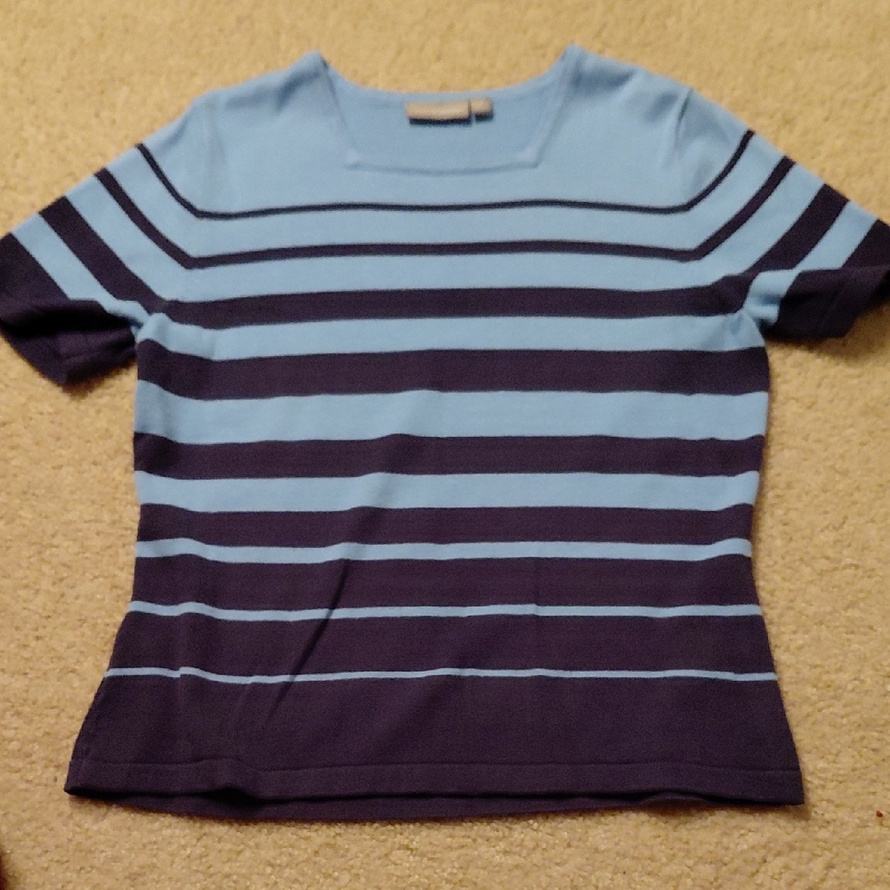 Blue Striped Short Sleeve Top